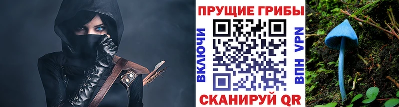 Псилоцибиновые грибы MAGIC MUSHROOMS где продают Никольск